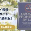 ハワイ喫煙完全ガイド 出発前に知っておきたい喫煙ルールと罰金・法律の基礎知識