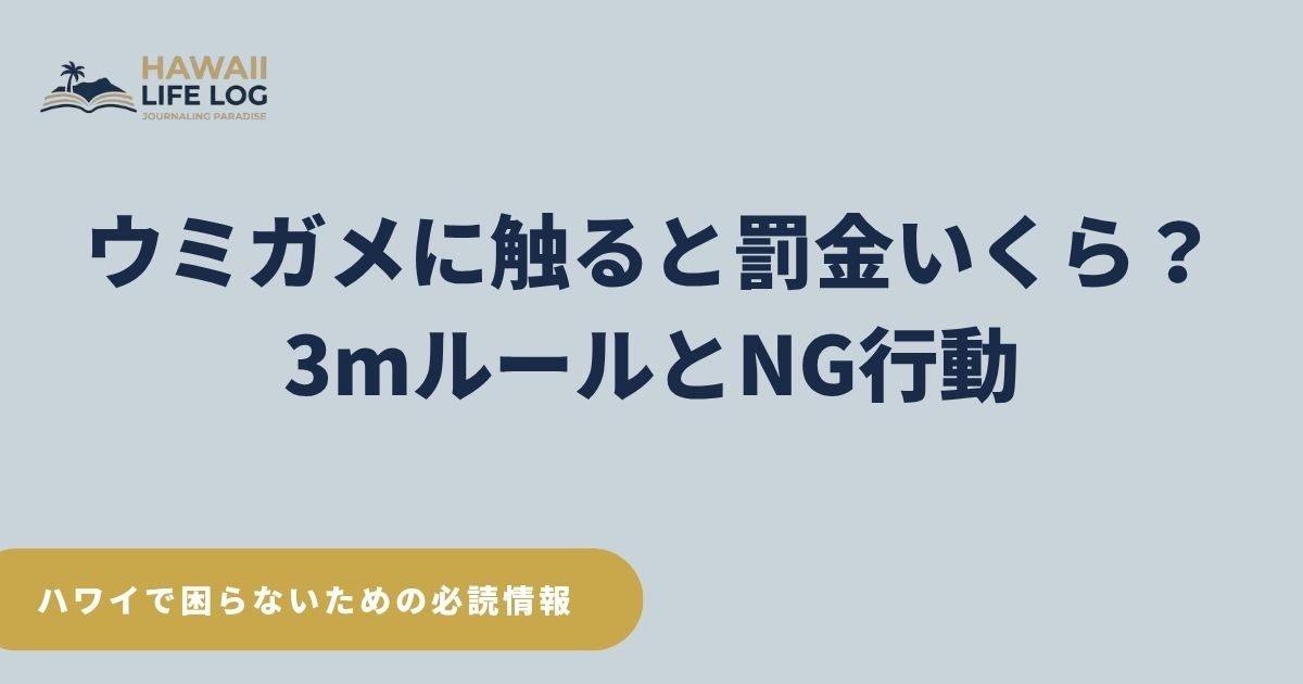 ハワイでウミガメに触ると違法となり、最高65,653ドルの罰金が科される可能性を解説する記事のアイキャッチ画像。3メートルの距離ルール、観光客がやりがちなNG行動、ウミガメを安全に見られる場所などをまとめた2026年版ガイド