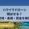 ネットの誤情報に騙されない、ハワイのドローン禁止区域と罰金、空域と公園ルールを解説する2026年版最新ガイド