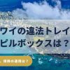 ハワイのトレイル、違法と合法の違いを解説し、救助要請が日常的に起こる安全リスクと違法ルートでは保険が使えない可能性をまとめたガイド